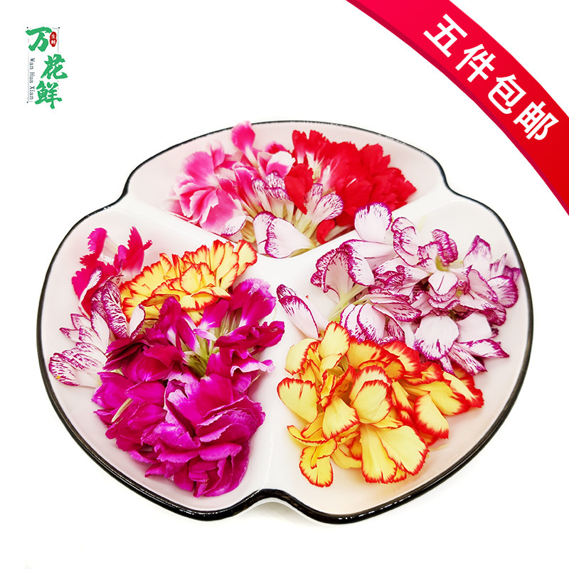 新鲜康乃馨花瓣香石竹摆盘装饰