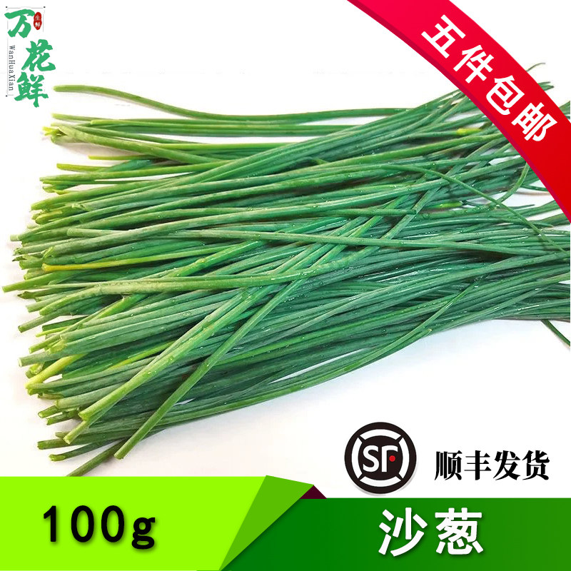 新鲜沙葱 100g西北野生沙葱 甘肃民勤特产鲜嫩细小沙葱