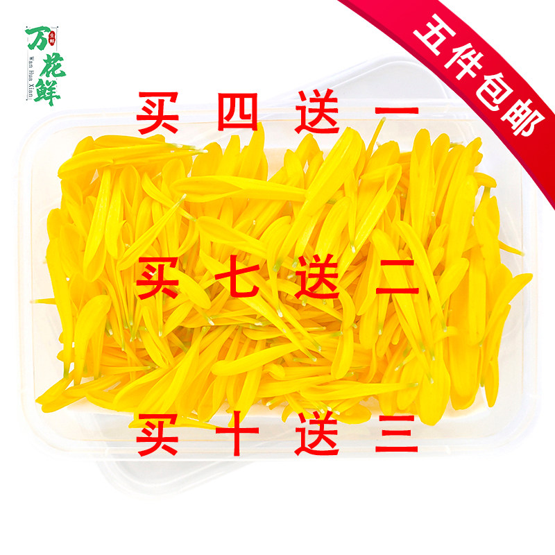 新鲜黄菊花花瓣可食用花太二酸菜鱼火锅米线冷艺西餐摆盘装饰点缀