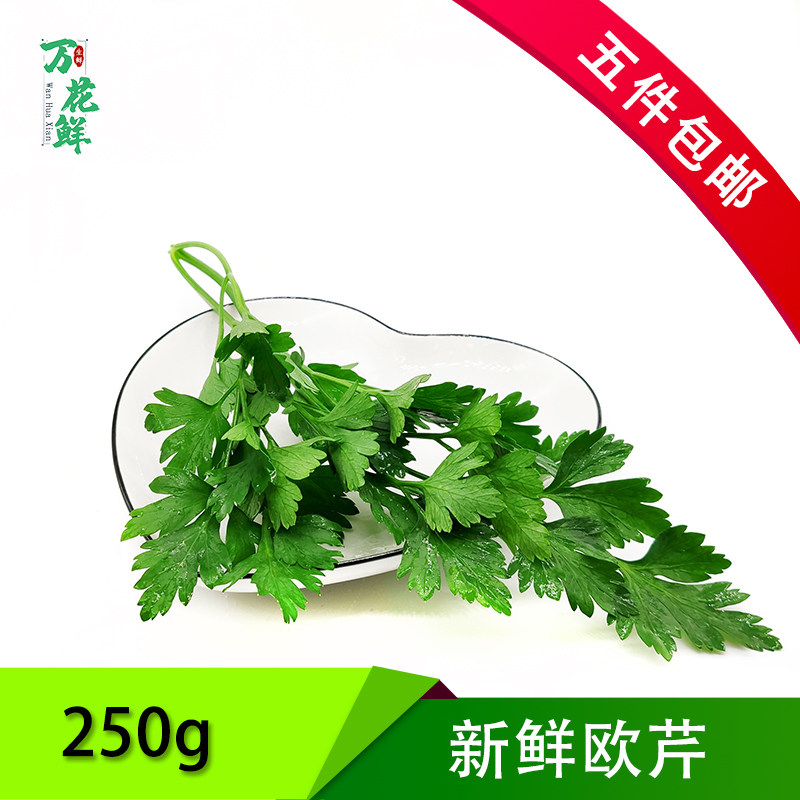 欧芹新鲜意大利番西香料菜新鲜蔬菜调味料西餐厅用品250g法国香菜,水产肉类/新鲜蔬果/熟食,其它,淘宝优惠券,粉丝福利购,淘宝优惠卷