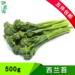 甜杆西兰苔500g 新鲜蔬菜芦笋西兰花时令蔬菜清甜脆嫩 满5件包邮