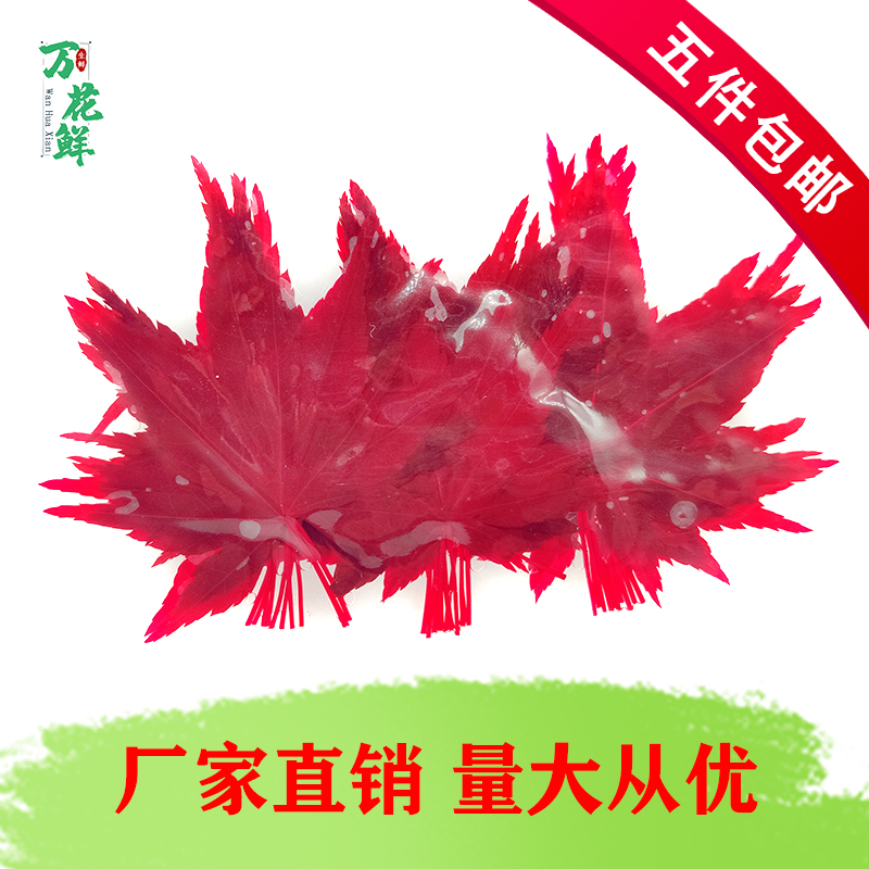 新鲜红枫叶腌渍真空装30枫树绿枫叶西餐酒店日料餐饮摆盘装饰点缀