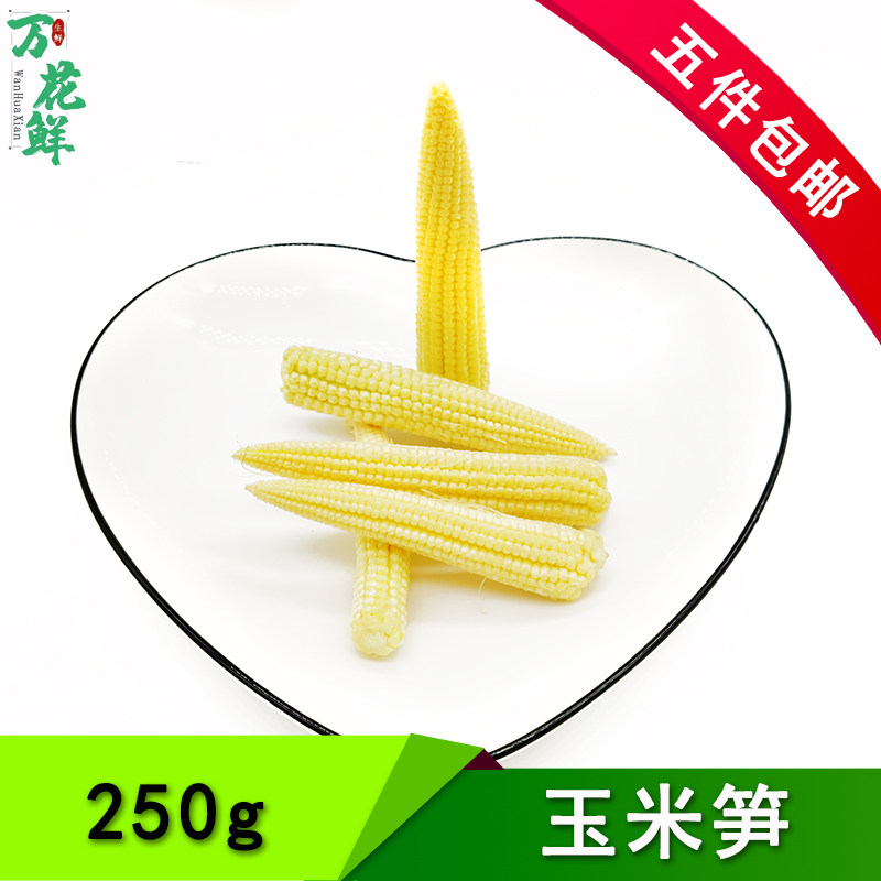 新鲜玉米笋 可食用小玉米 酒店餐饮炖汤摆盘装饰 西餐牛排搭配菜