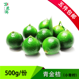 海南小金桔新鲜水果奶茶店