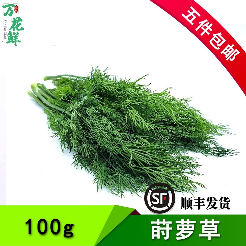 新鲜莳萝草dill洋茴香100g香草水产调味煎三文鱼西餐香料酒店食用