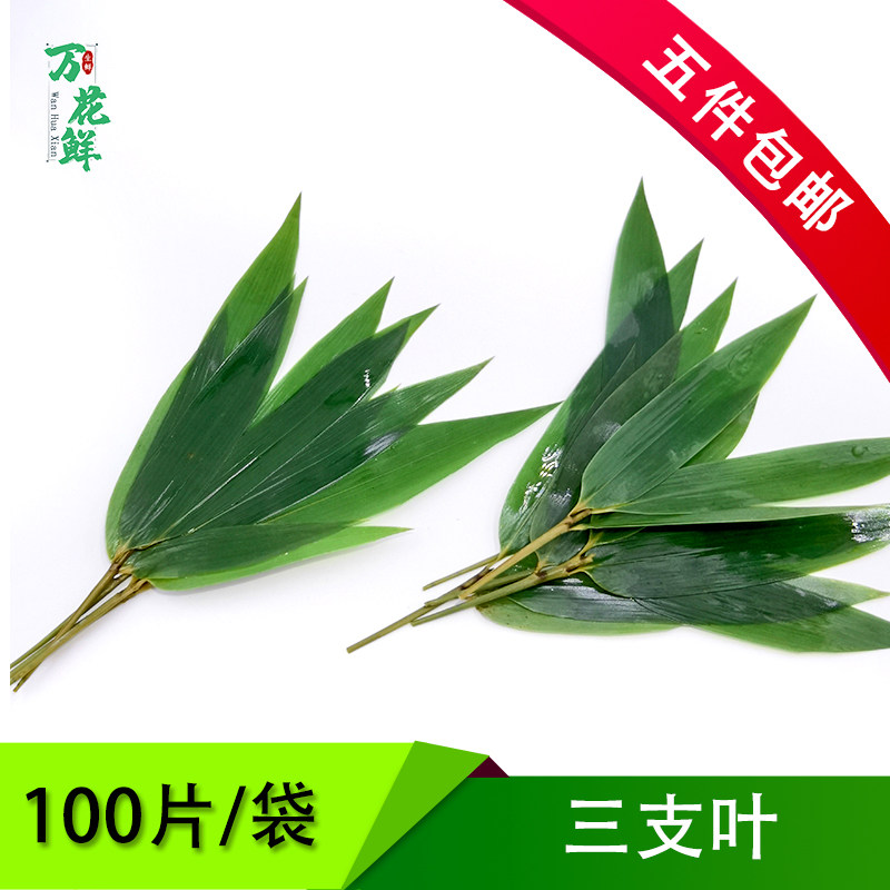 新鲜三支叶凤尾竹小竹叶真空三枝叶日式寿司料理西餐冷盘摆盘装饰