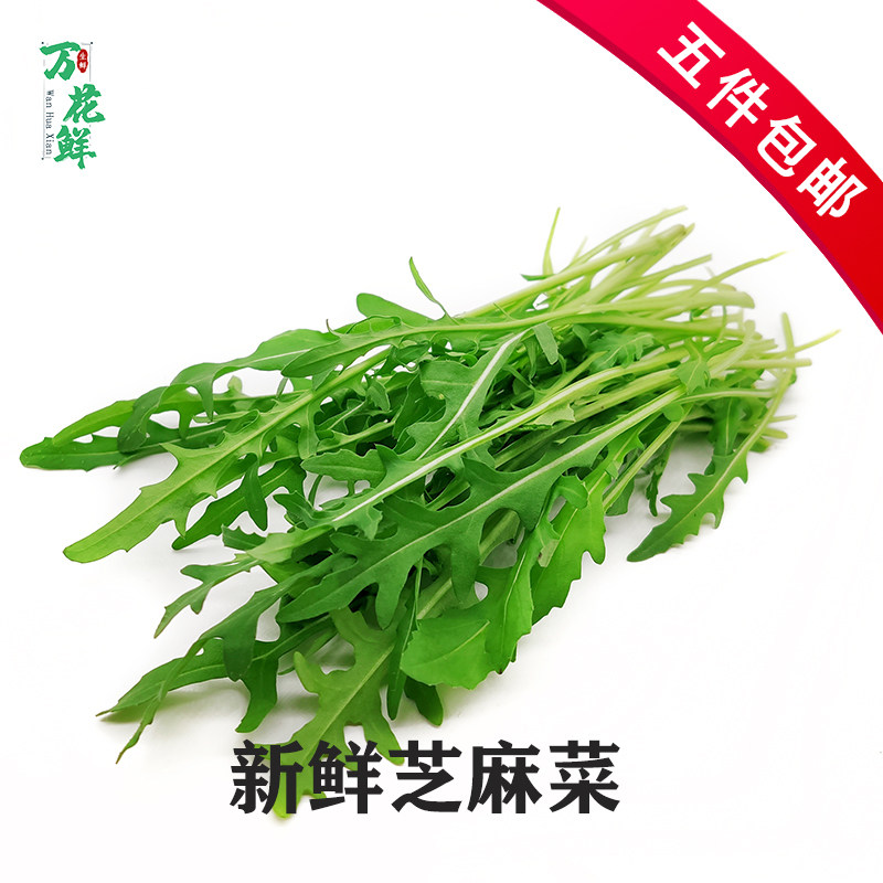 芝麻叶新鲜250g蔬菜轻食