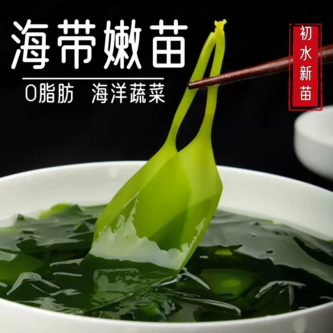 海带苗嫩苗裙带盐渍凉拌火锅食材