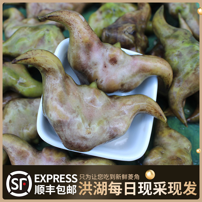 洪湖新鲜老菱角顺丰包邮湖北特产当季水生蔬菜现摘现发粉糯香甜