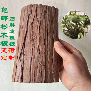 石斛吊栽杉树皮板 杉木板　杉树板替代蛇木板 石斛专用种植板植料