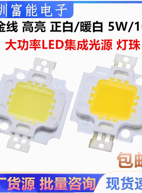 双金线 高亮度 正白/暖白 白色 5W/10W大功率LED集成光源 灯珠