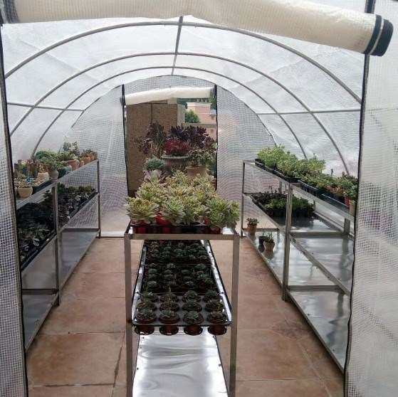 暖房花卉多肉棚西红种菜小花防冻家用种植架过冬温室花房花草大棚|msdalam kategori penghantaran bunga/bunga simulasi/tumbuhan berkebun, Gardening Supplies, Peralatan Perkebunan lain - dari Buy2taobao.com untuk memberikan perkhidmatan ejen Taobao profesional membeli