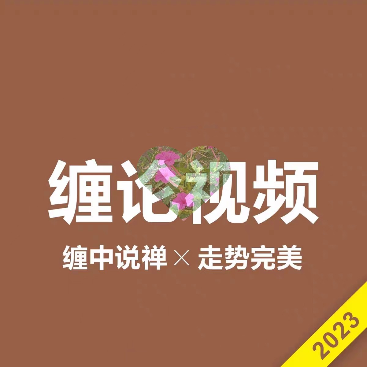 2024缠论视频教程自动画笔线中枢108课详解原著缠中说禅李彪实战
