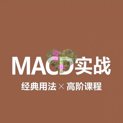 经典MACD实战高级技术分析顶底背离波段操盘买卖绝技炒股视频教程