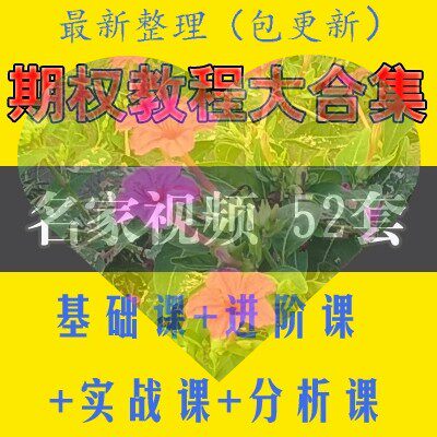 期权视频教程入门与精通股票投资期货零基础视频实战实盘培训课程