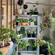 特价 进口metalsistem植物架置地式货架多功能自由组装DIY收纳架