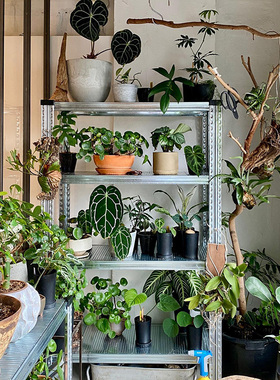 特价 进口metalsistem植物架置地式货架多功能自由组装DIY收纳架