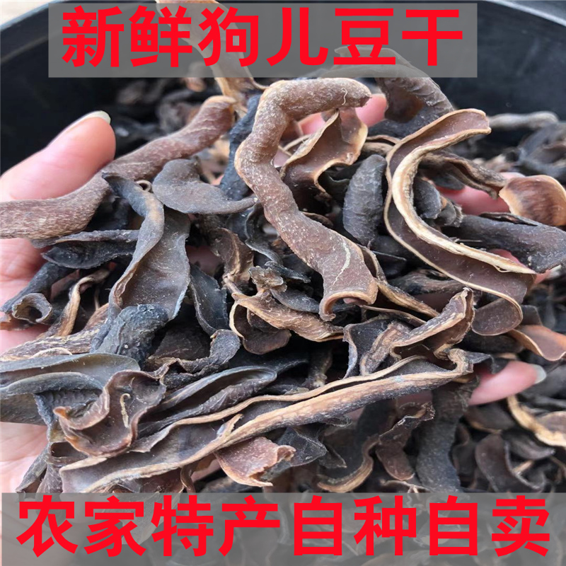 农家自种新鲜蔬菜狗儿豆干狗爪豆广西特产现摘龙爪豆虎老豆猫豆干