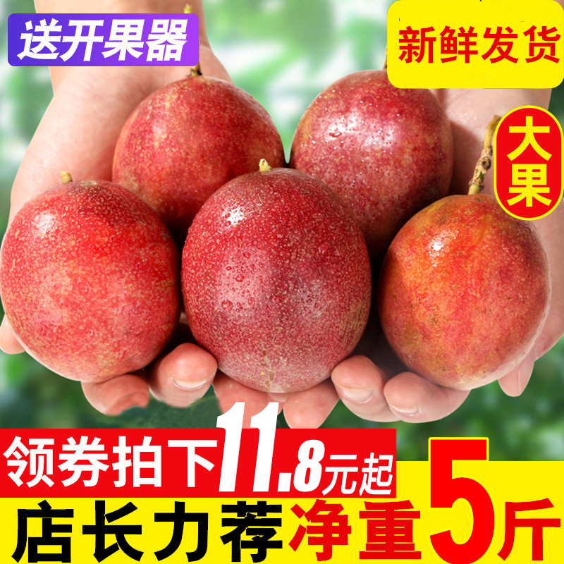广西百香果5斤特级大果一级红果新鲜3斤鸡蛋果酱浆批发黄金白香果