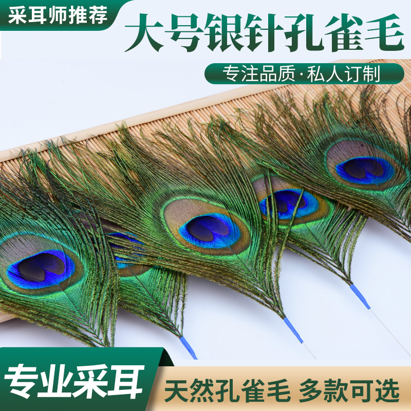 大号技师孔雀毛扫脸打耳朵