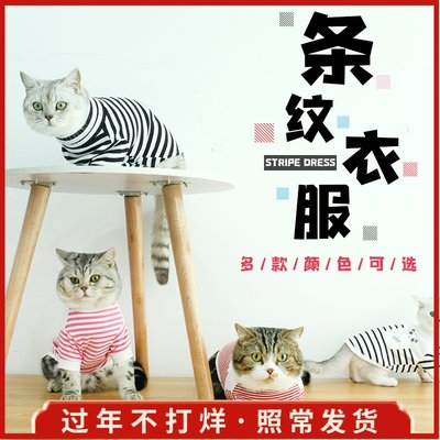 条纹薄款防掉毛小奶猫