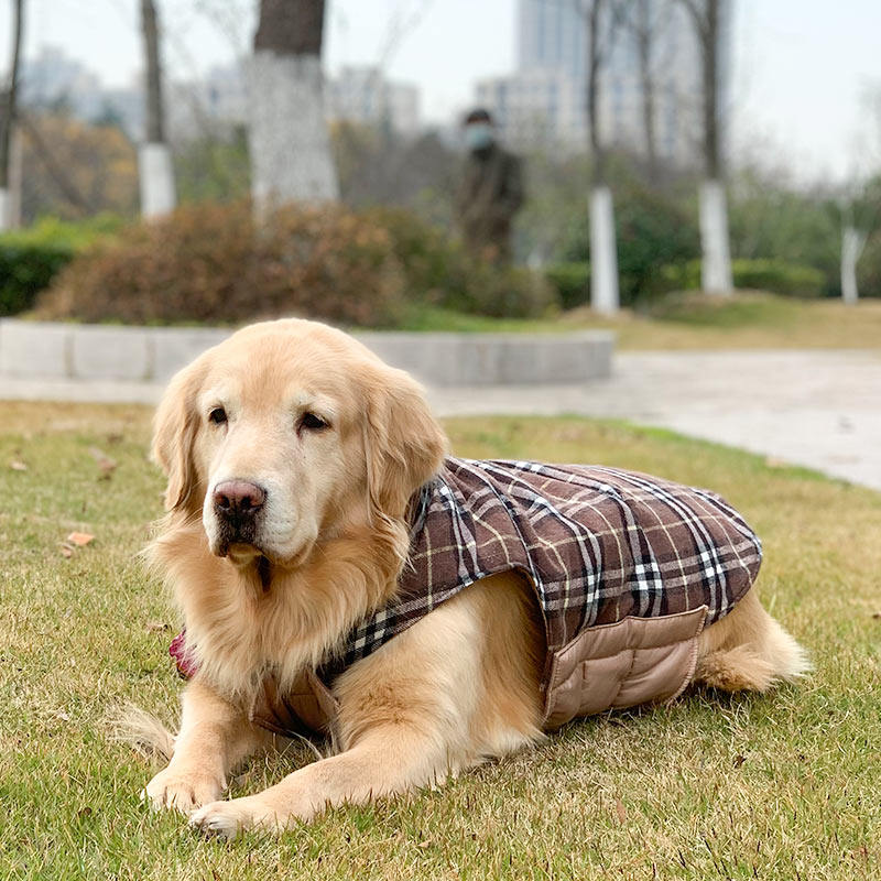 金毛衣服格子棉服背心大狗狗拉布拉多中型犬大型犬加厚棉衣秋冬装