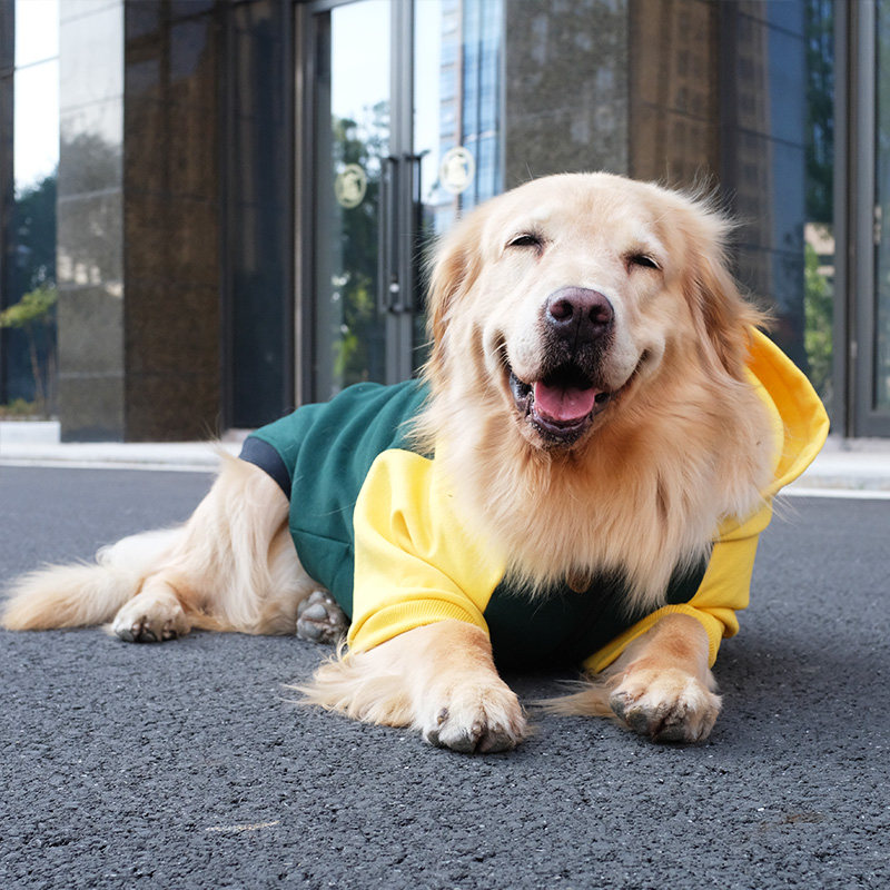 金毛大狗狗衣服拉布拉多秋冬装潮牌冬季厚款萨摩耶中型大型犬冬款