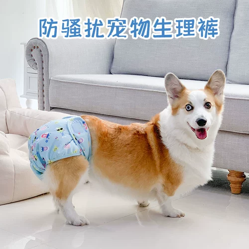 Бизиологические штаны мальчика