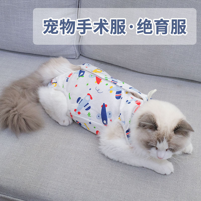 猫咪绝育服母猫手术衣服夏季宠物断奶服防舔猫猫透气术后服防掉毛