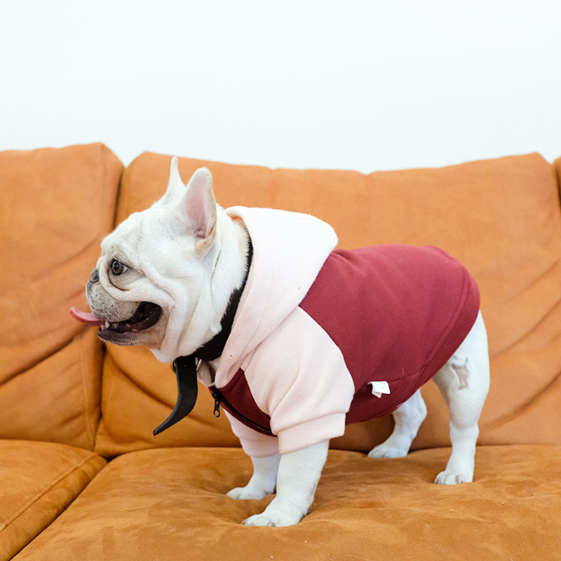 法斗衣服狗狗秋冬装斗牛犬可爱帽衫巴哥泰迪宠物秋天小中型犬冬季