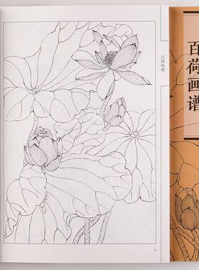 百荷画谱中国画线描工笔画底稿白描花卉荷花图集底稿临摹范本