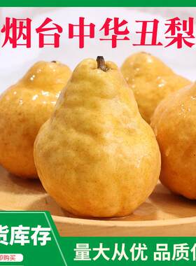 山东烟台中华丑梨5斤新鲜软糯当季莱阳太婆梨啤梨鸭梨礼盒装整箱