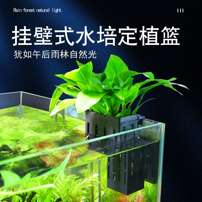 鱼缸水培植物蓝定植篮壁挂式水草种植杯鱼缸造景装饰绿萝固定神器,宠物/宠物食品及用品,其它水族用具设备,淘宝优惠券,粉丝福利购,淘宝优惠卷