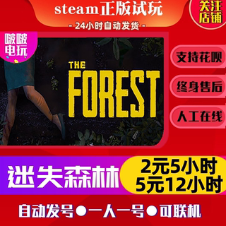 steam正版游戏 The Forest 迷失森林 恐怖森林 出租号 好友联机