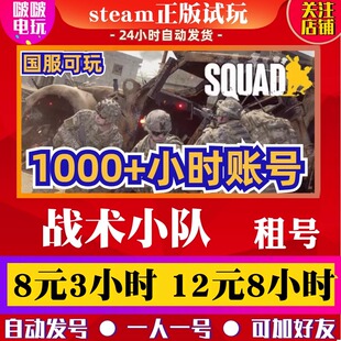 Steam正版游戏 Squad 战术小队出租号  多人在线联机 动作 射击