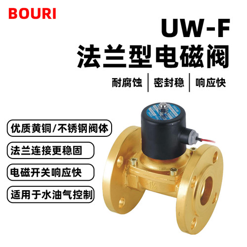 BOURIUW-F法兰电磁阀耐腐蚀