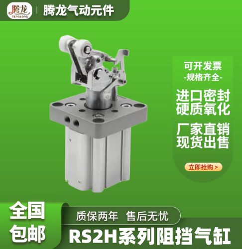 RSA50 RS2H50-30D/DL/BL/TL RS1H63-30DM/BM/TM重型止动气缸80-30