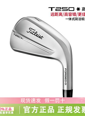 Titleist泰特利斯高尔夫球杆男4GT250一体式高起飞版锻造铁杆组