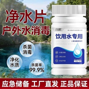 户外饮用水消毒片六鹤水井野外生存净水片应急储备