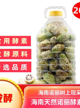 诺丽果鲜果食用养生1比3比10酵素