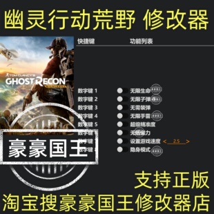 幽灵行动荒野修改器 Steam正版单人辅助工具科技存档修 不含游戏