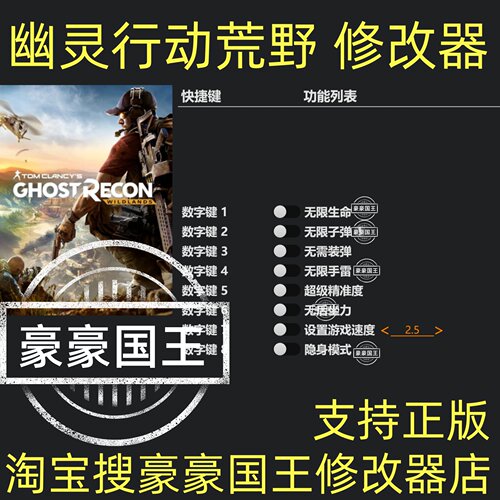 Steam幽灵行动荒野修改器(新版)