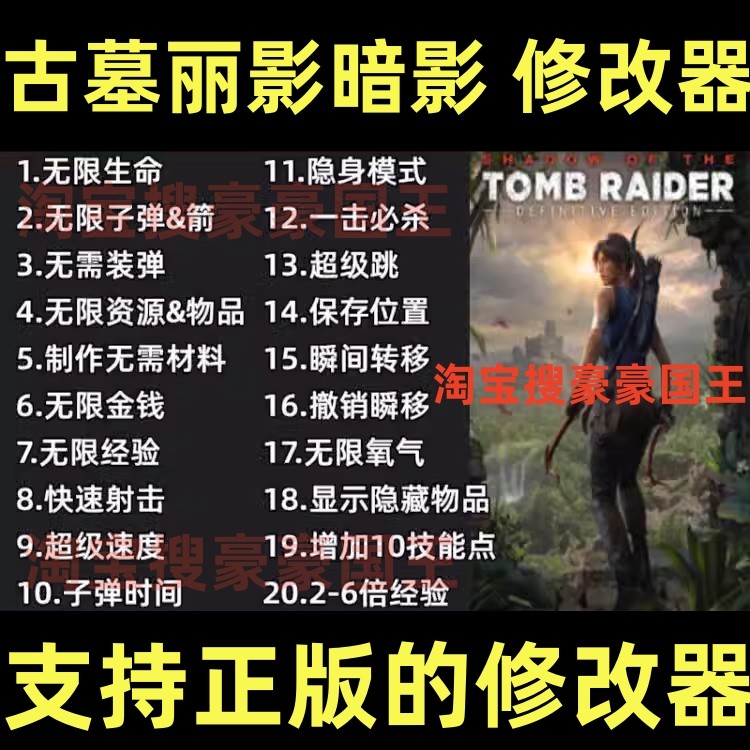 古墓丽影暗影修改器 正版steam/epic辅助工具 不含游戏