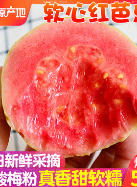 顺丰福建软糯红心芭乐5斤水果软心番石榴翻奶油新鲜鸡屎果巴乐果