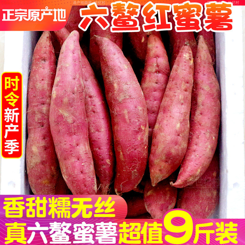 2026福建六鳌红蜜薯9斤红薯新鲜山芋甜地瓜红心农家自种沙地番薯
