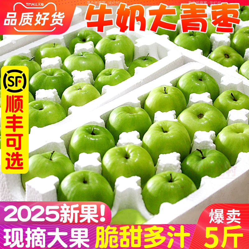 抢！现货福建牛奶大青枣当季水果