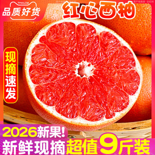 2026红心西柚新鲜水果10斤红西柚福建整箱孕妇鲜果非南非西柚子