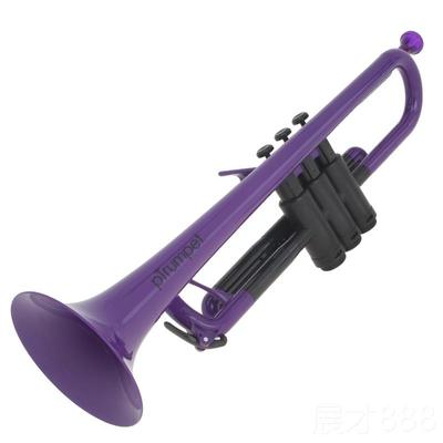 正品英国新款专业演奏pT定umpet朋塑料铜管乐器降皮B调小号r初学