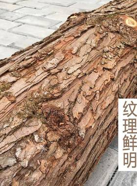 正品木木带大树干装饰原圆木桩杉头墩客厅民宿隔断屏风酒吧空皮间