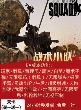 战术小队Squad/激活码全新账号卡密/远程辅助教学科技/丝瓜/steam